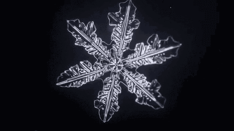 雪花珠宝让你美丽不冻人开元棋牌冬季浪漫必备！(图5)